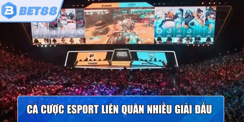 Cá cược esport Liên Quân với nhiều giải đấu thường xuyên