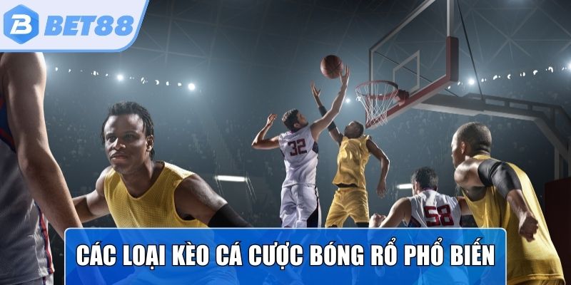 Các hình thức kèo cược trong bóng rổ phổ biến 