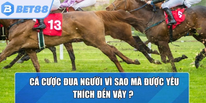 Lý do nhiều người chơi thích cá cược đua ngựa