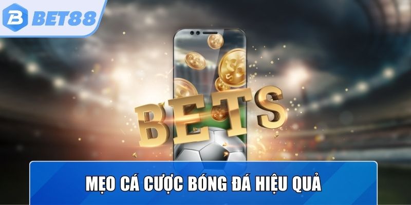 Bật mí mẹo và kinh nghiệm chơi cá cược bóng đá hiệu quả 