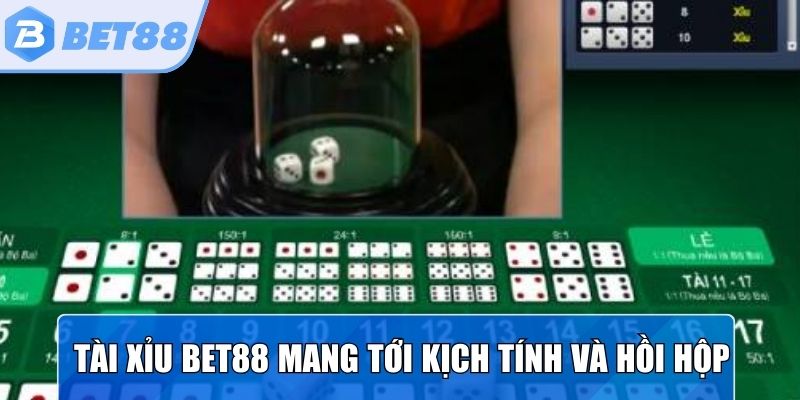 Tài xỉu Bet88 mang tới sự kịch tính và hồi hộp