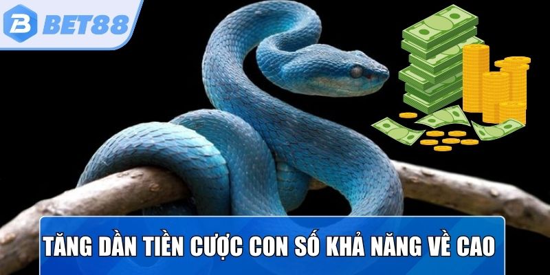 Tăng dần tiền cược cho những con số có khả năng về cao