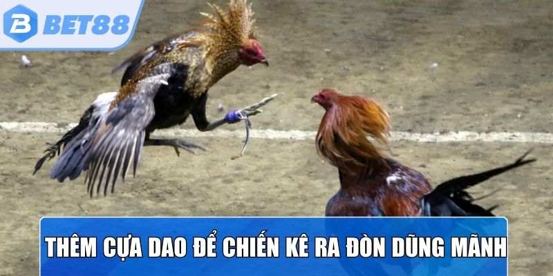 Thêm cựa dao để chiến kê ra đòn dũng mãnh hơn