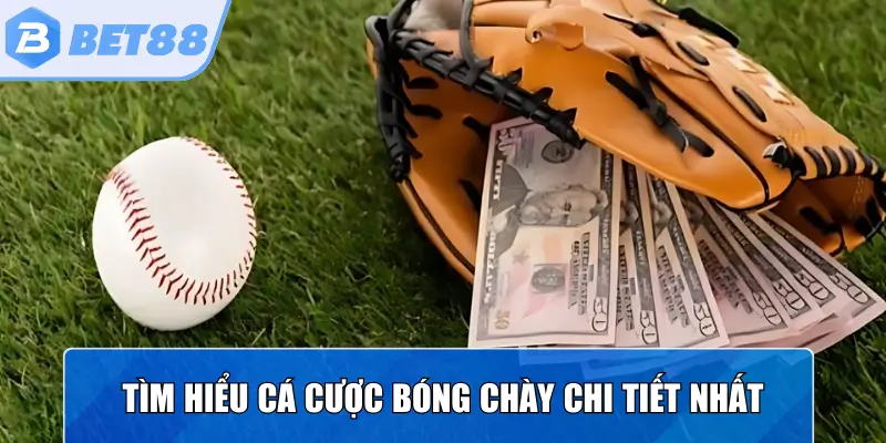 Tìm hiểu cá cược bóng chày chi tiết nhất