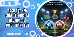 Cách Đặt Kèo Chẵn Lẻ Bóng Đá
