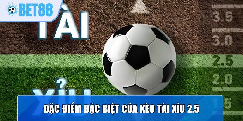 Đặc điểm đặc biệt của kèo tài xỉu 2.5