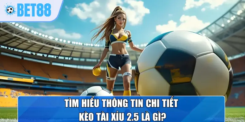 Tìm hiểu thông tin chi tiết kèo tài xỉu 2.5 là gì?
