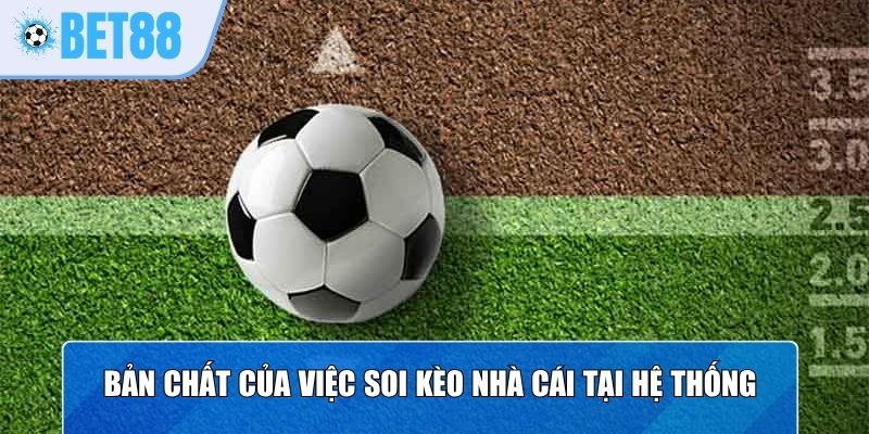 Bản chất của việc soi kèo nhà cái tại hệ thống