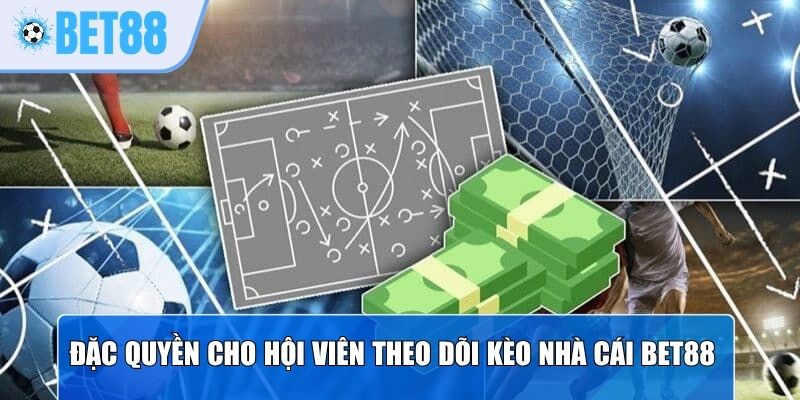 Đặc quyền cho hội viên theo dõi kèo nhà cái Bet88 